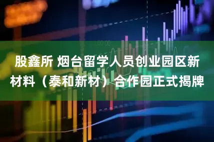股鑫所 烟台留学人员创业园区新材料（泰和新材）合作园正式揭牌
