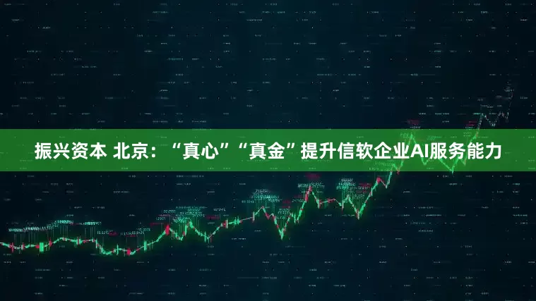 振兴资本 北京：“真心”“真金”提升信软企业AI服务能力