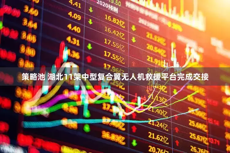 策略池 湖北11架中型复合翼无人机救援平台完成交接