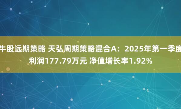 牛股远期策略 天弘周期策略混合A：2025年第一季度利润177.79万元 净值增长率1.92%